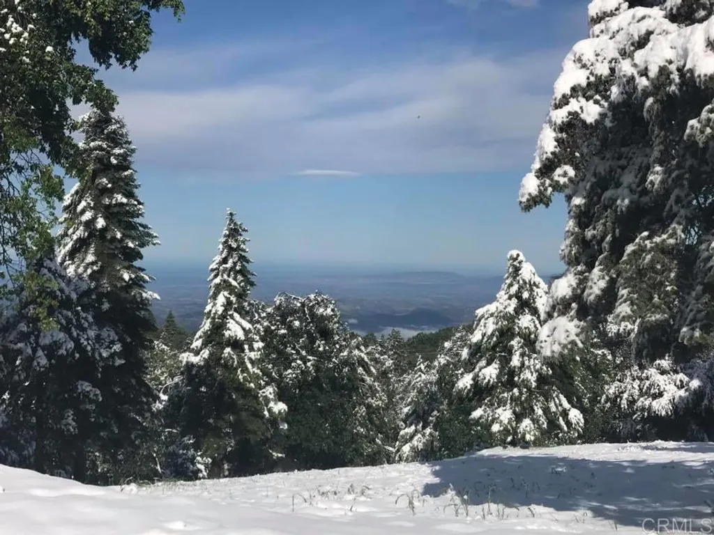 Additional image 59 of 3413 Fern Meadow Road, Palomar Mountain, CA 92060