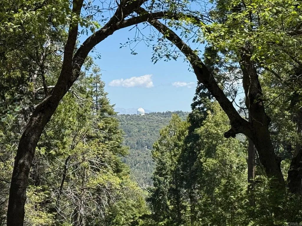 Additional image 62 of 3413 Fern Meadow Road, Palomar Mountain, CA 92060