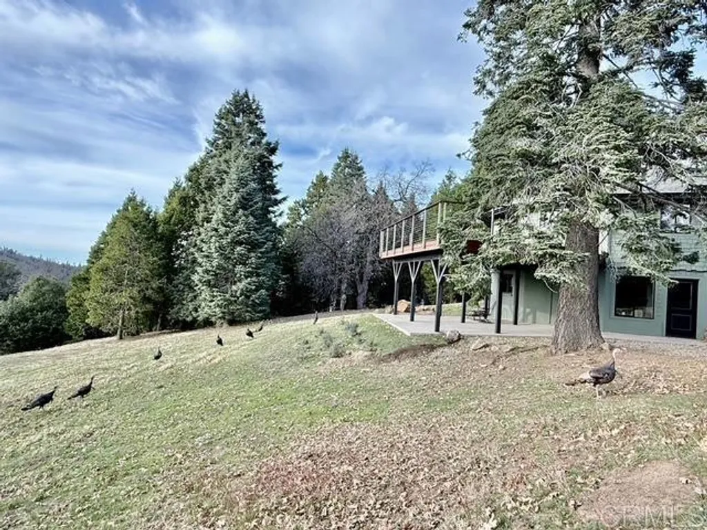 Additional image 33 of 3413 Fern Meadow Road, Palomar Mountain, CA 92060