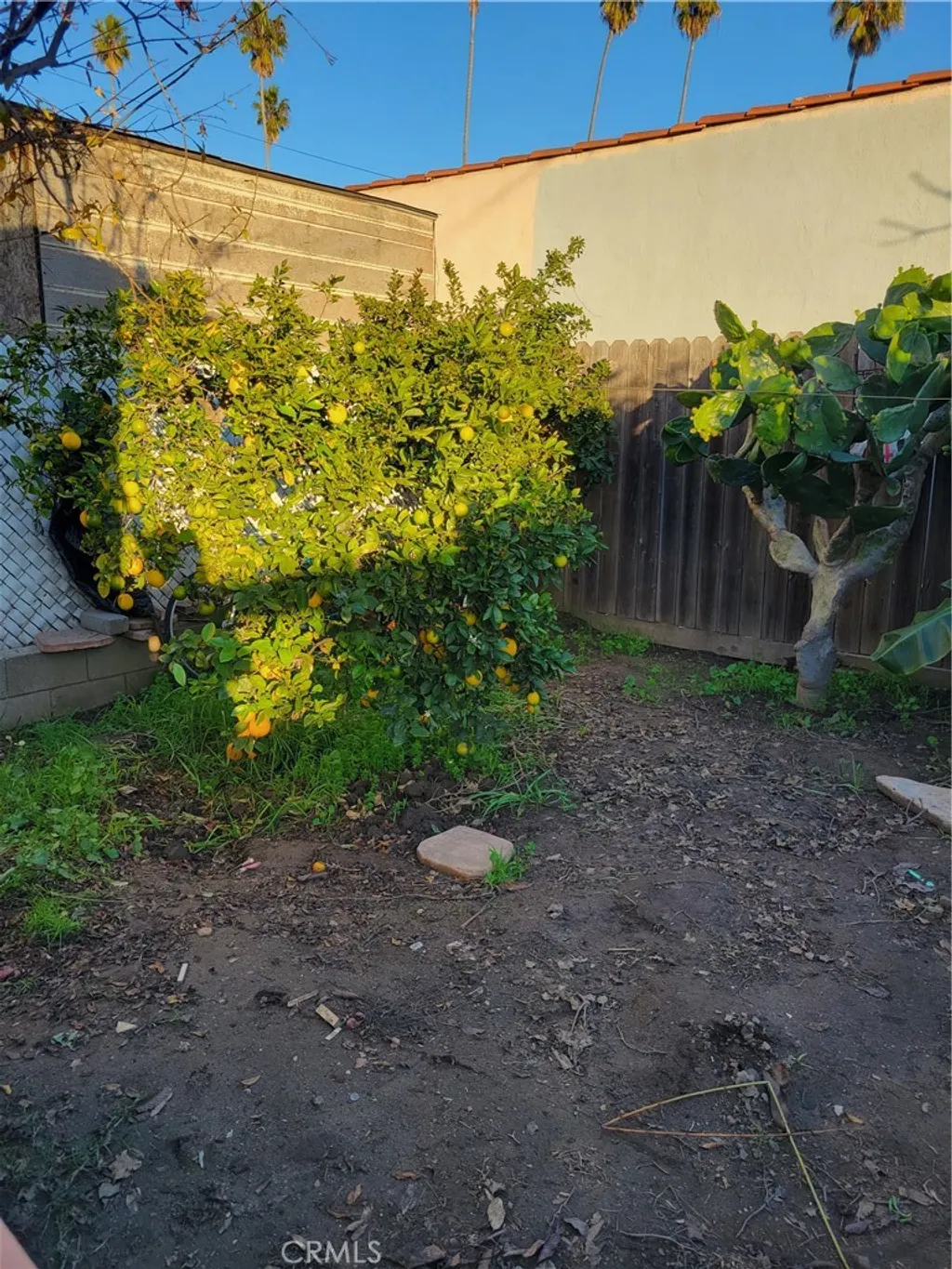 Additional image 30 of 1934 Vineyard, Los Angeles, CA 90016