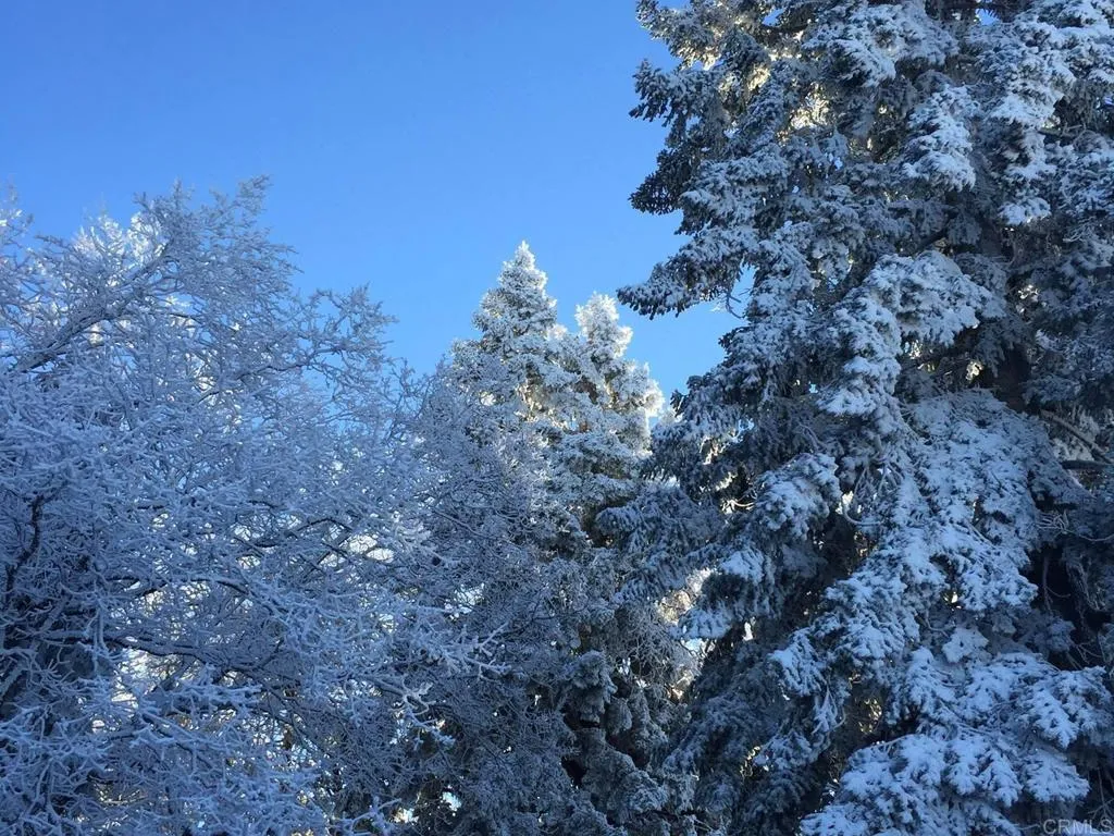 Additional image 128 of 3413 Fern Meadow Road, Palomar Mountain, CA 92060