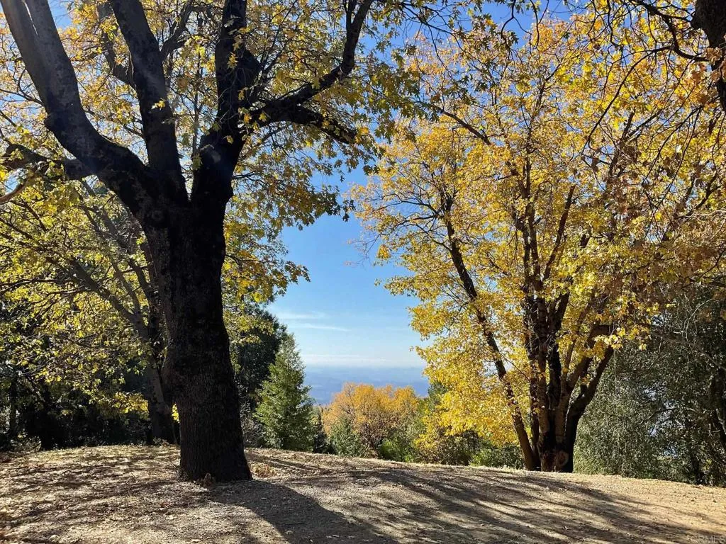 Additional image 142 of 3413 Fern Meadow Road, Palomar Mountain, CA 92060