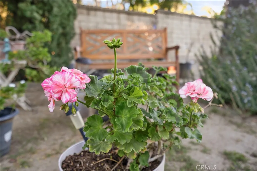 Additional image 12 of 22395 Barbacoa Dr, Saugus, CA 91350