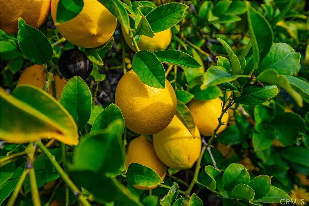 Additional image 87 of 25497 Blackwood Road, Murrieta, CA 92563