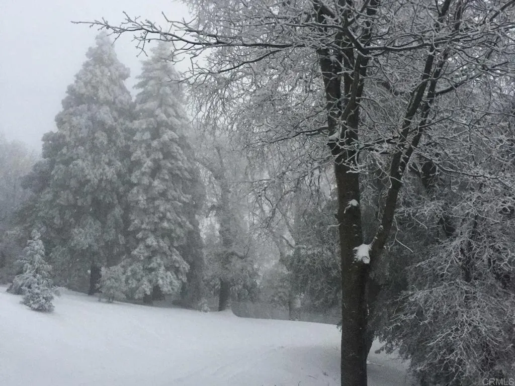 Additional image 129 of 3413 Fern Meadow Road, Palomar Mountain, CA 92060