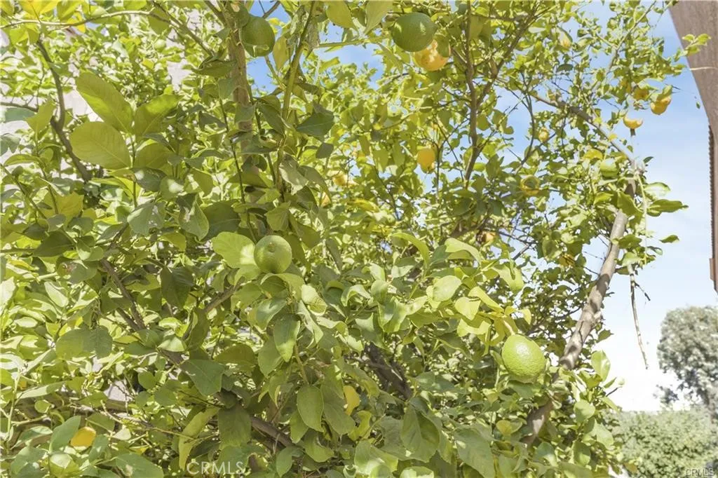 Additional image 59 of 1141 Via Antibes, Redlands, CA 92374