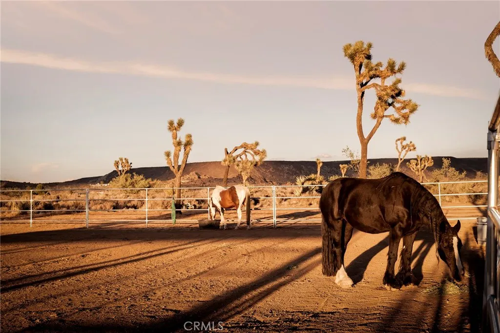 Additional image 77 of 2680 Vine Ave, Pioneertown, CA 92268