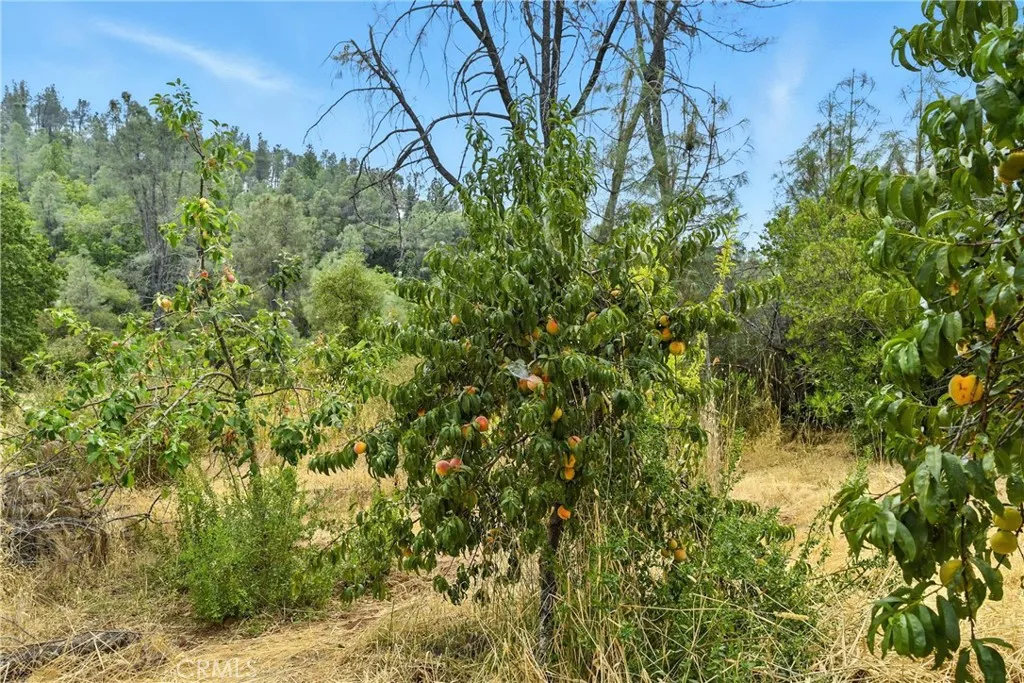 Additional image 58 of 20110 Jerusalem Grade, Lower Lake, CA 95457