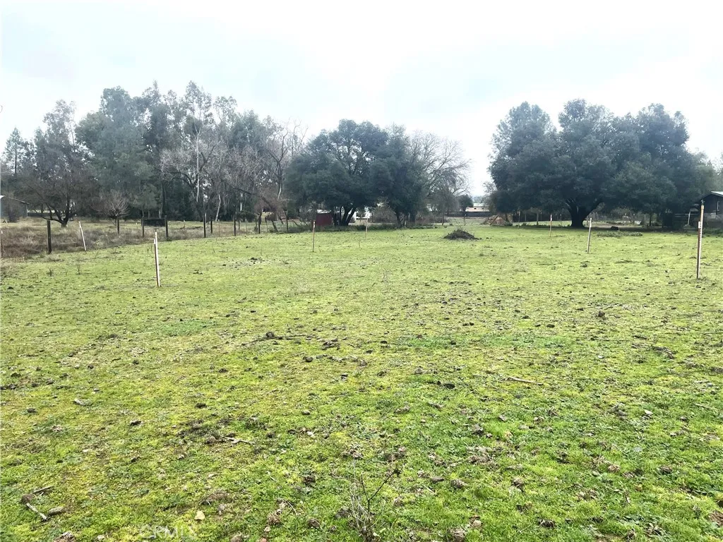 Additional image 69 of 2865 Bell Hill Road, Kelseyville, CA 95451