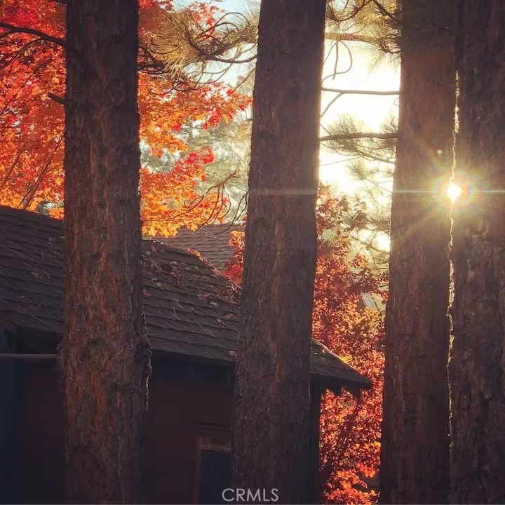 Additional image 13 of 716 Elysian Blvd, Big Bear City, CA 92314