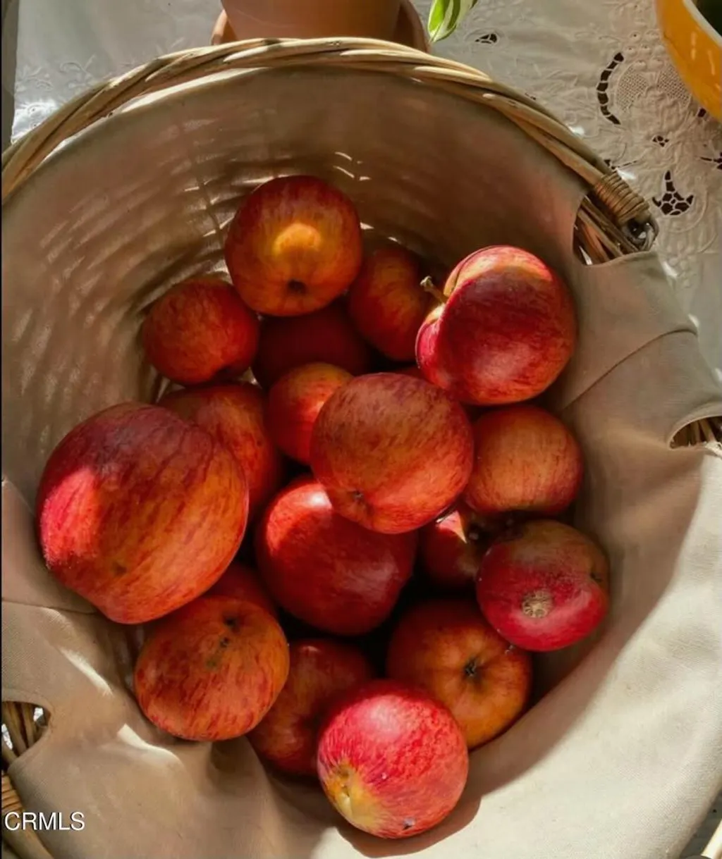 Additional image 12 of 31400 Sherwood Road, Fort Bragg, CA 95437