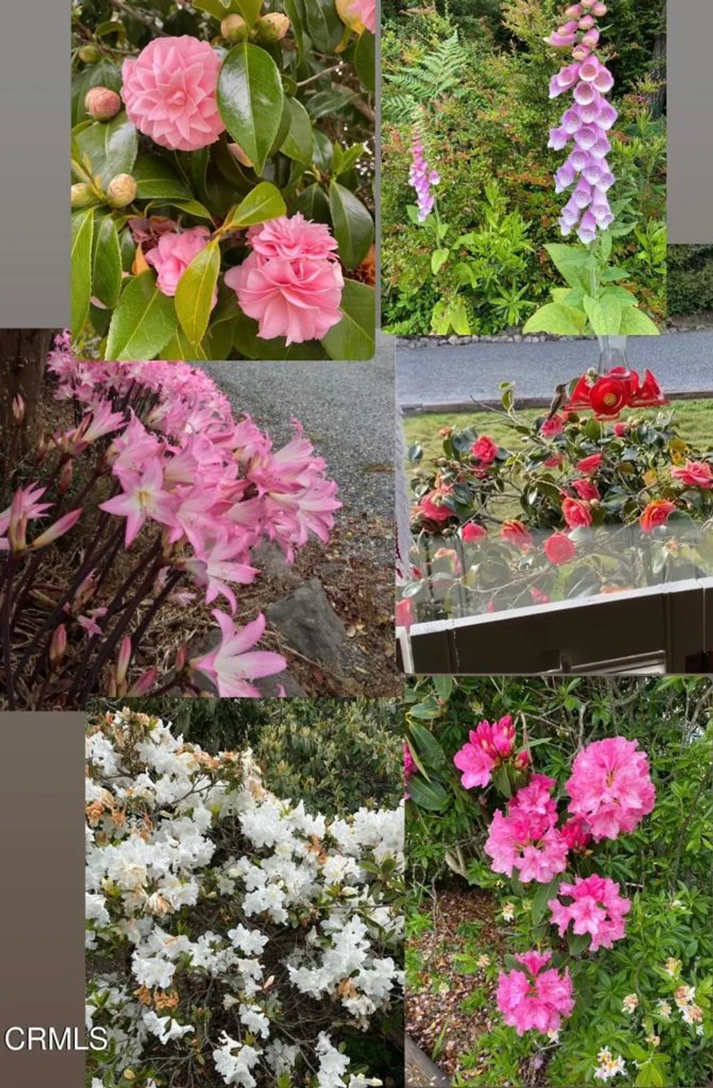 Additional image 11 of 31400 Sherwood Road, Fort Bragg, CA 95437