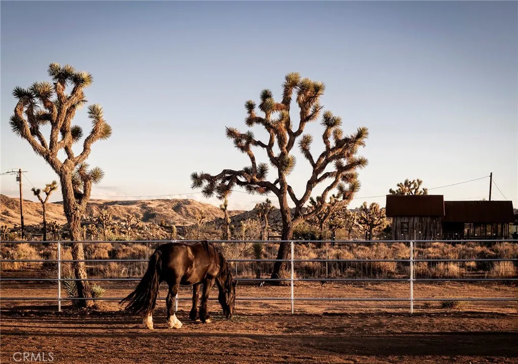 Additional image 60 of 2680 Vine Ave, Pioneertown, CA 92268