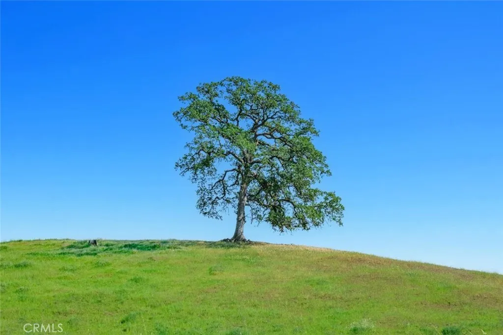 Additional image 60 of 19623 Road 211, Friant, CA 93626