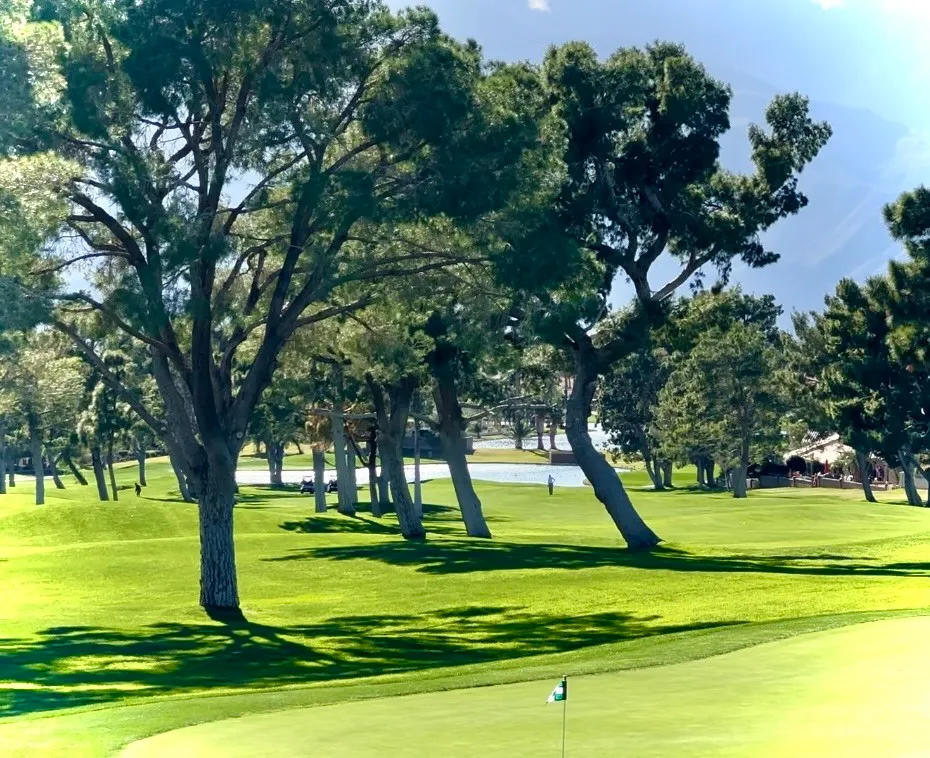 Additional image 56 of 9641 Spyglass Ave Unit 62, Desert Hot Springs, CA 92240