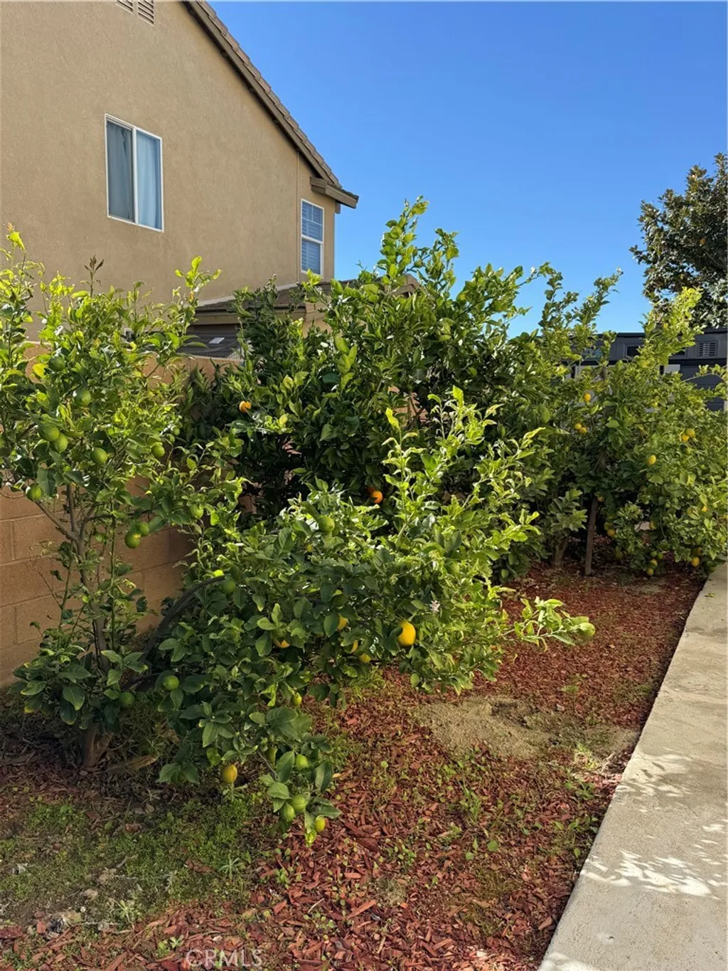 Additional image 12 of 7056 Calina Ln, Eastvale, CA 92880