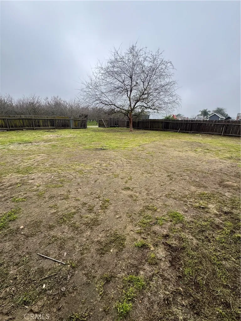 Additional image 59 of 2433 W Clemenceau Ave, Caruthers, CA 93609