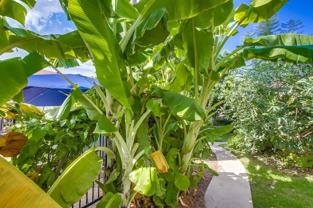 Additional image 35 of 11187 Kelowana Rd Unit 76, Mira Mesa, CA 92126