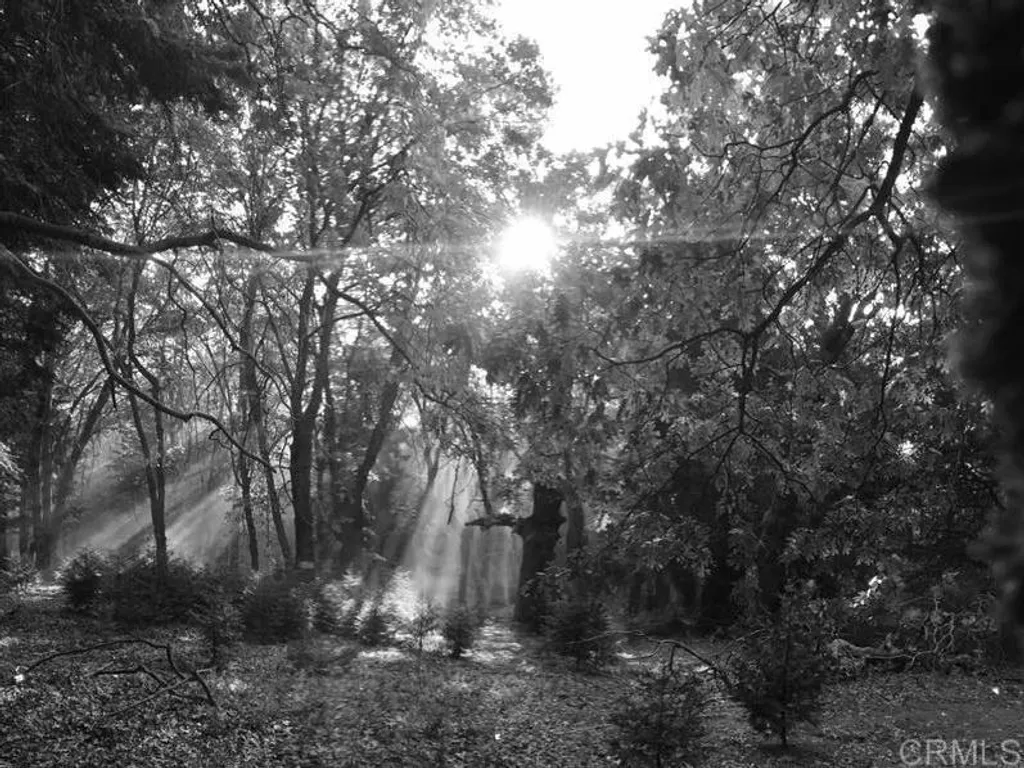 Additional image 56 of 3413 Fern Meadow Road, Palomar Mountain, CA 92060