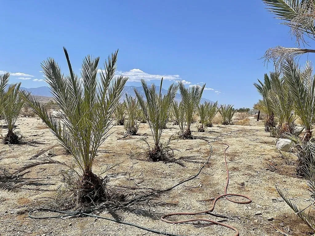 Additional image 62 of 73315 Helms Road, Desert Hot Springs, CA 92241