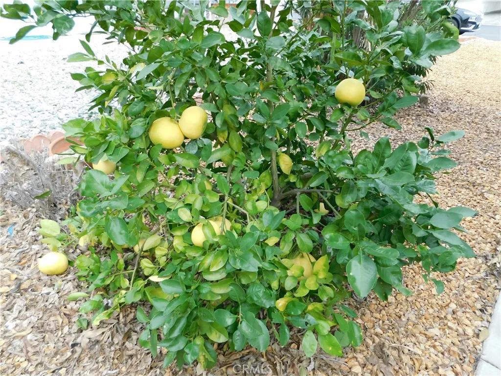 Additional image 77 of 2200 W Wilson St Unit 54, Banning, CA 92220