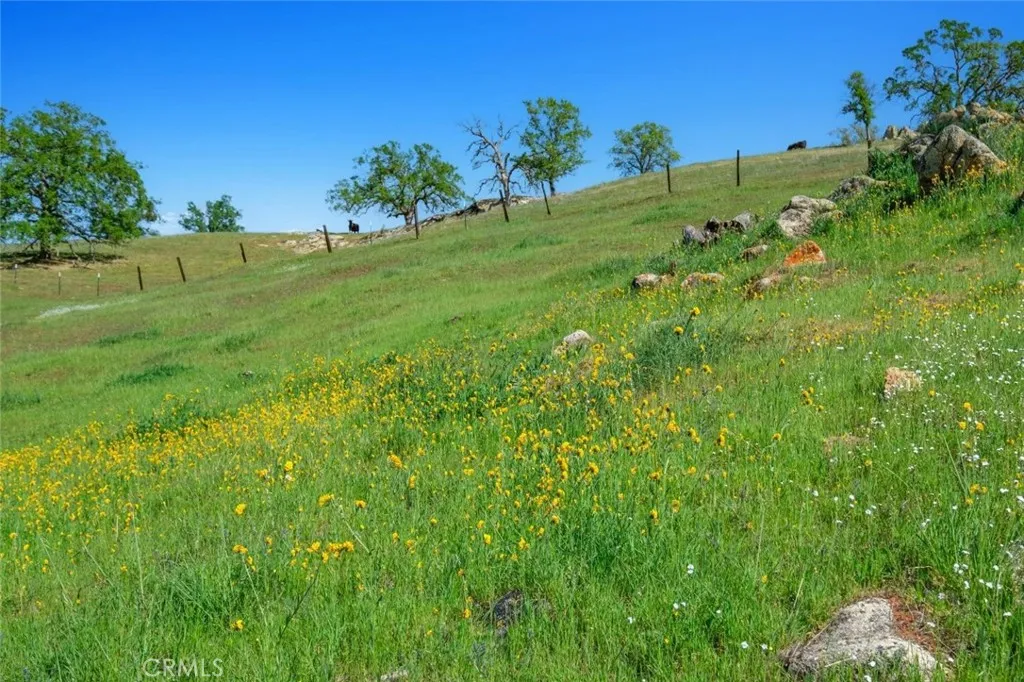 Additional image 119 of 19623 Road 211, Friant, CA 93626