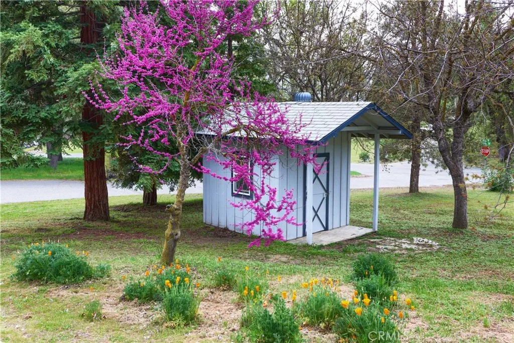 Additional image 39 of 41820 Dillon, Ahwahnee, CA 93601