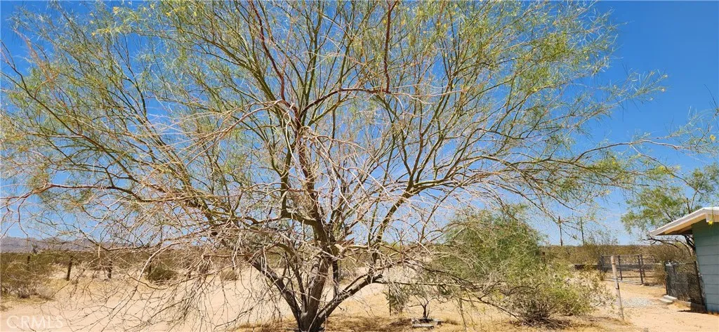 Additional image 26 of 4675 Kickapoo Trail, Landers, CA 92285