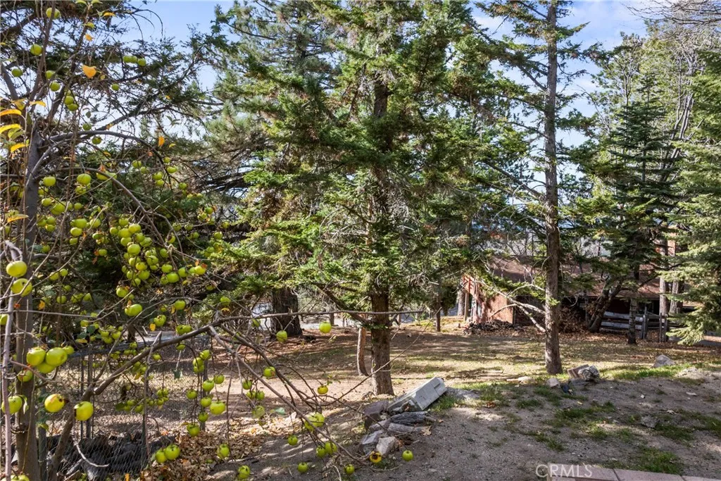 Additional image 82 of 1944 Willow Dr, Running Springs, CA 92382