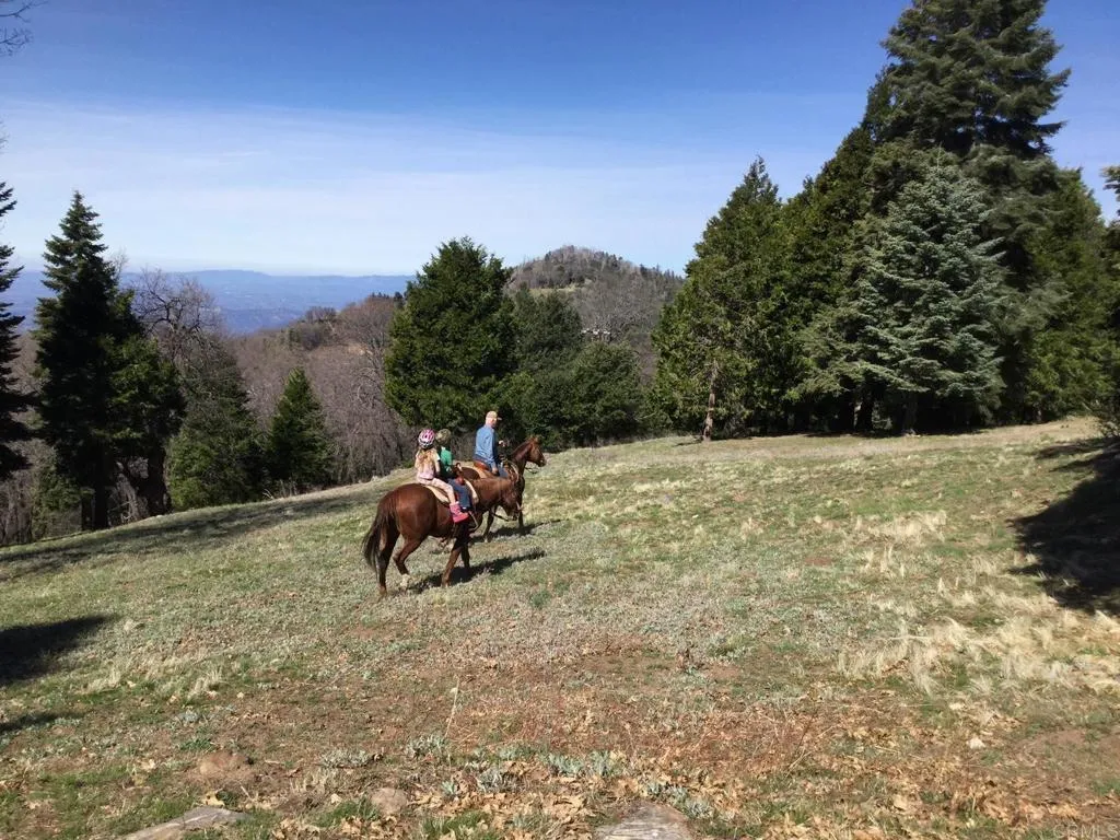 Additional image 118 of 3413 Fern Meadow Road, Palomar Mountain, CA 92060