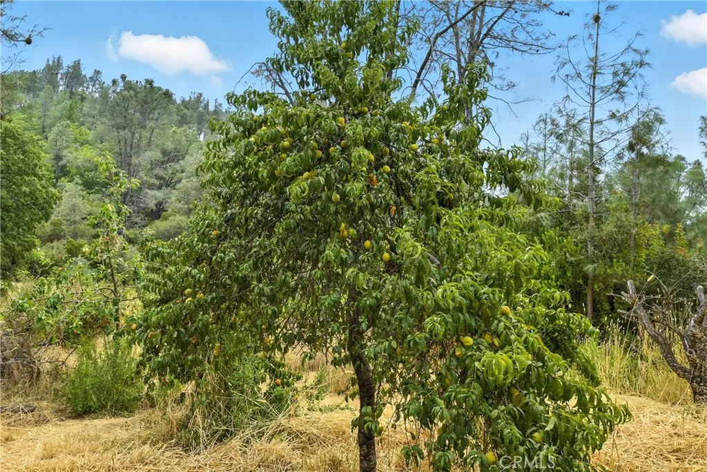 Additional image 59 of 20110 Jerusalem Grade, Lower Lake, CA 95457