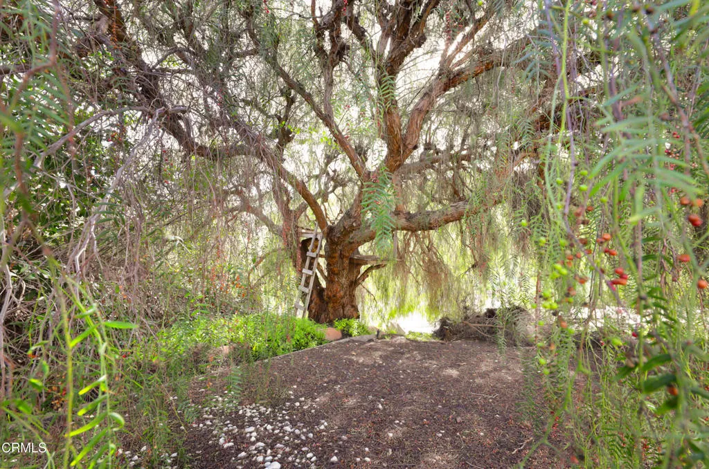 Additional image 80 of 251 S Skyline Drive, Thousand Oaks, CA 91361