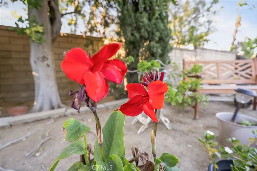 Additional image 56 of 22395 Barbacoa Dr, Saugus, CA 91350