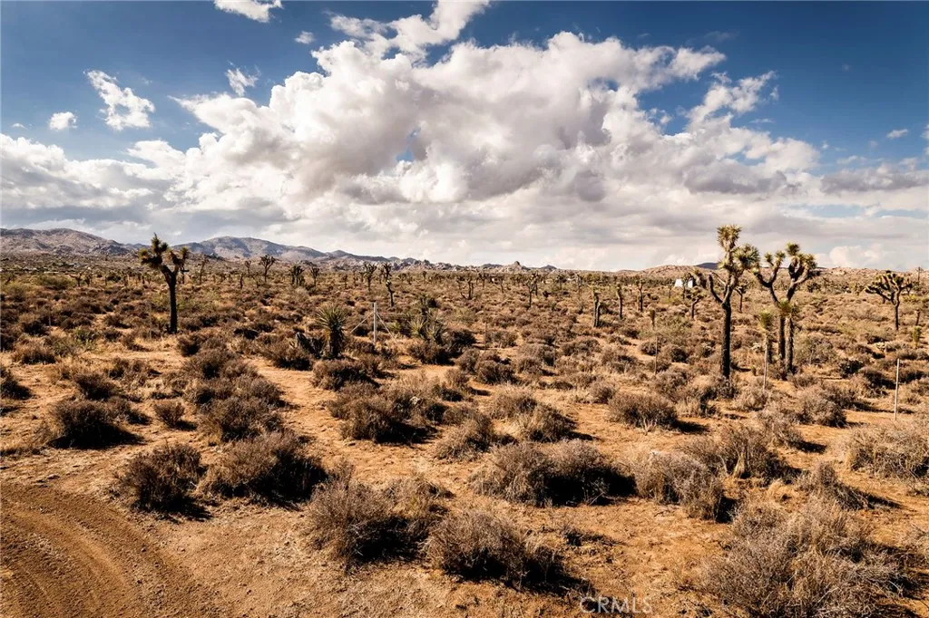 Additional image 113 of 2680 Vine Ave, Pioneertown, CA 92268