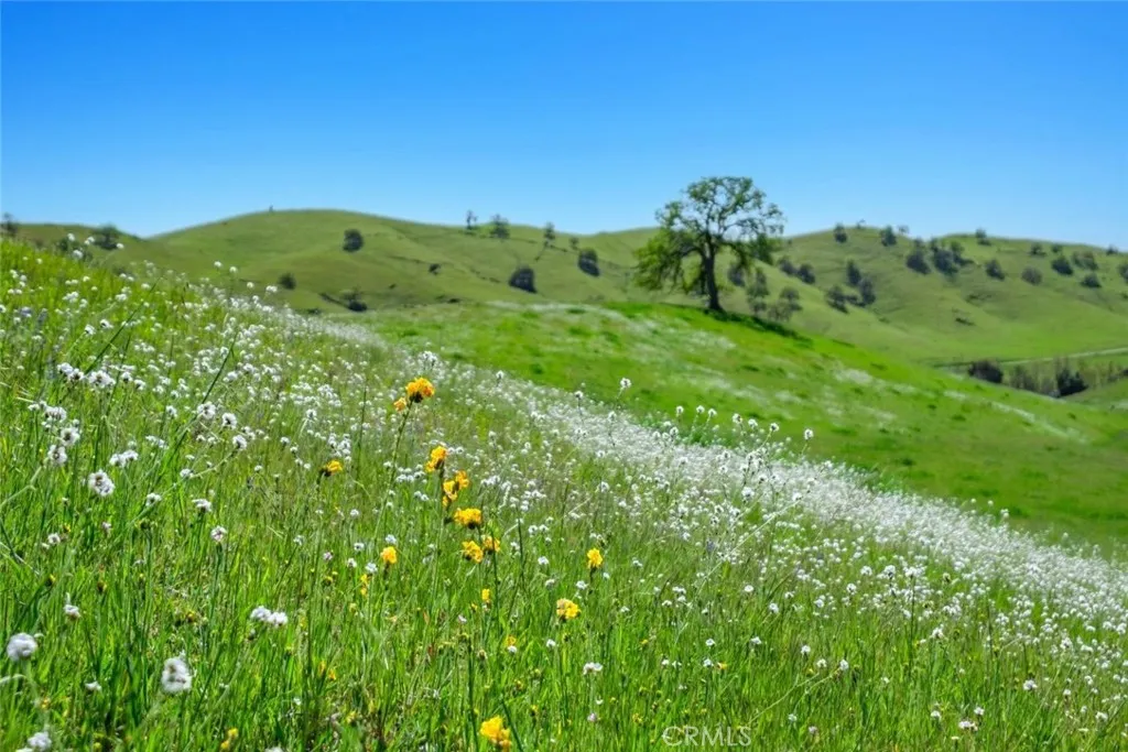 Additional image 118 of 19623 Road 211, Friant, CA 93626