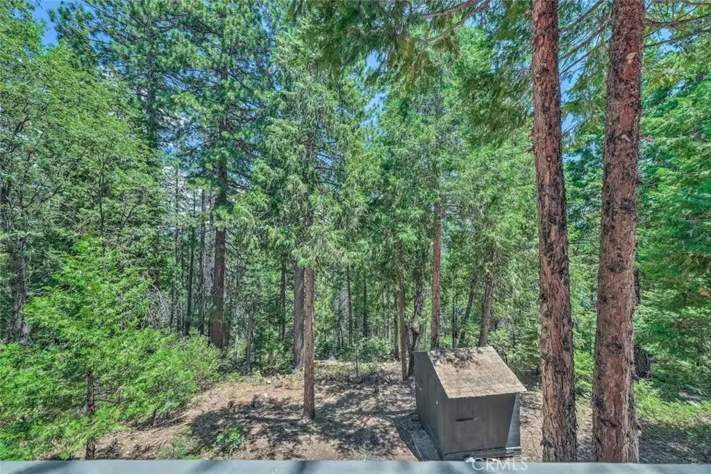 Additional image 28 of 29723 Mono Trl, Long Barn, CA 95335