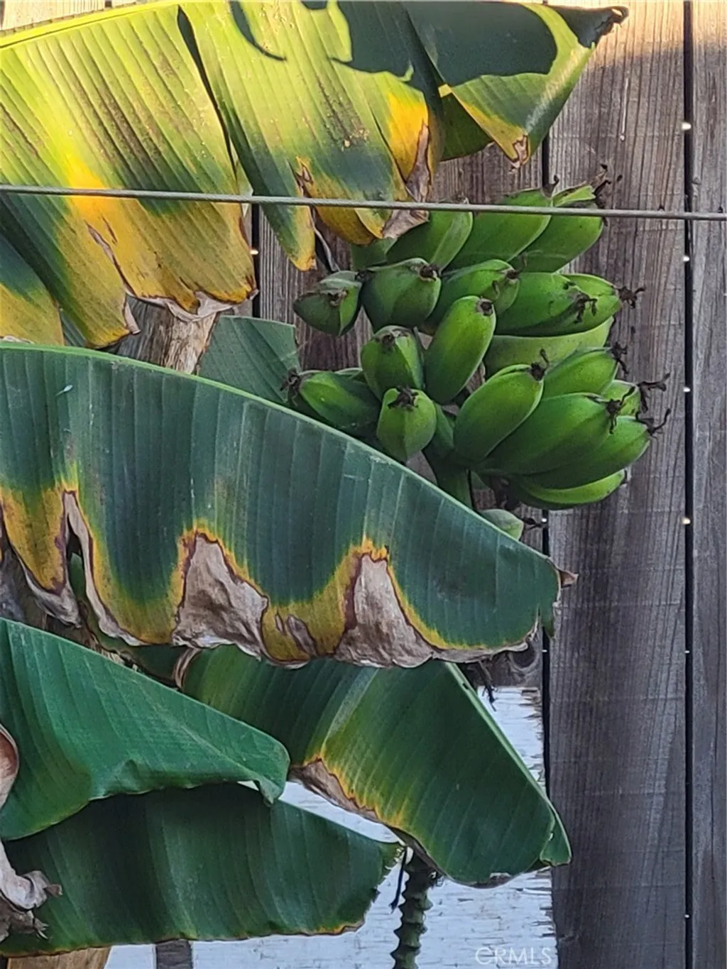 Additional image 33 of 1934 Vineyard, Los Angeles, CA 90016