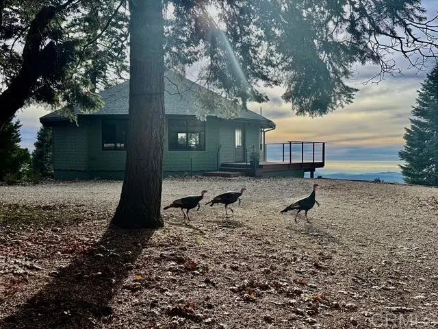 Additional image 114 of 3413 Fern Meadow Road, Palomar Mountain, CA 92060