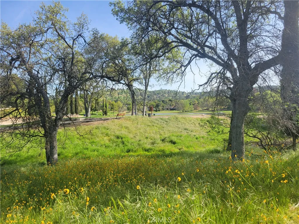 Additional image 14 of 30685 Yosemite Springs Parkway, Coarsegold, CA 93614