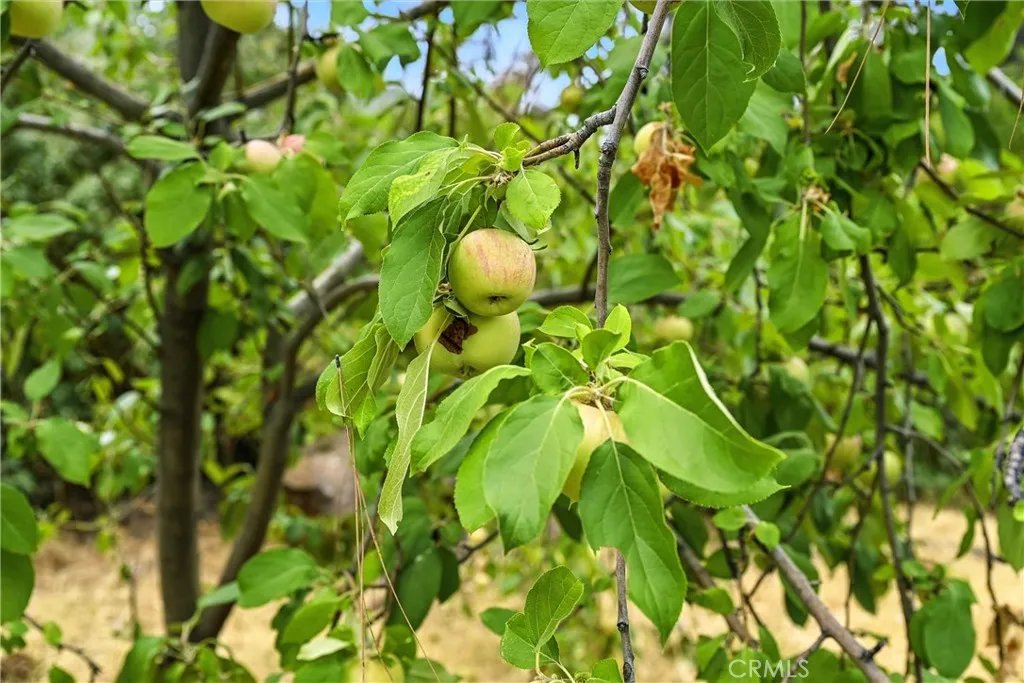 Property image for 20110 Jerusalem Grade, Lower Lake, CA 95457