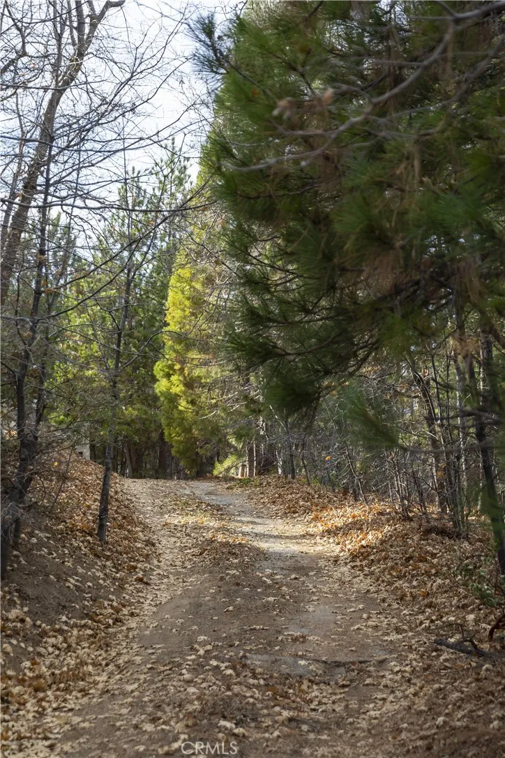 Additional image 50 of 28287 Bern Lane, Lake Arrowhead, CA 92352