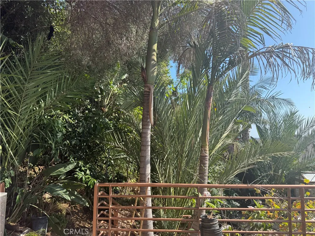 Additional image 40 of 1994 Stanley Ave, Signal Hill, CA 90755