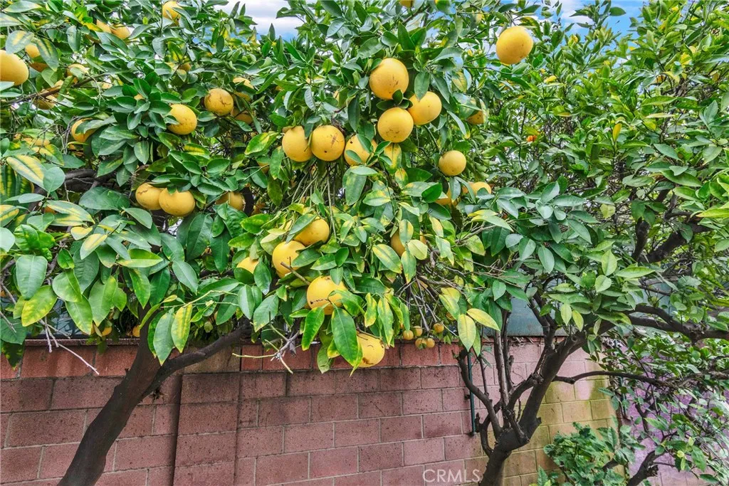 Additional image 26 of 1417 S Bromley Ave, West Covina, CA 91790