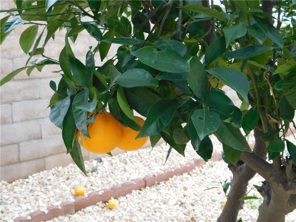 Additional image 45 of 5700 W Wilson Street Unit 1, Banning, CA 92220