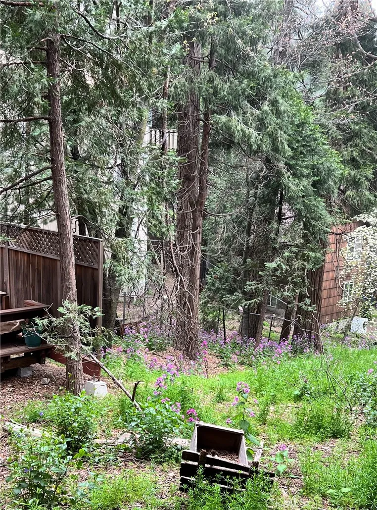 Additional image 55 of 23348 Outlook Ln, Crestline, CA 92325