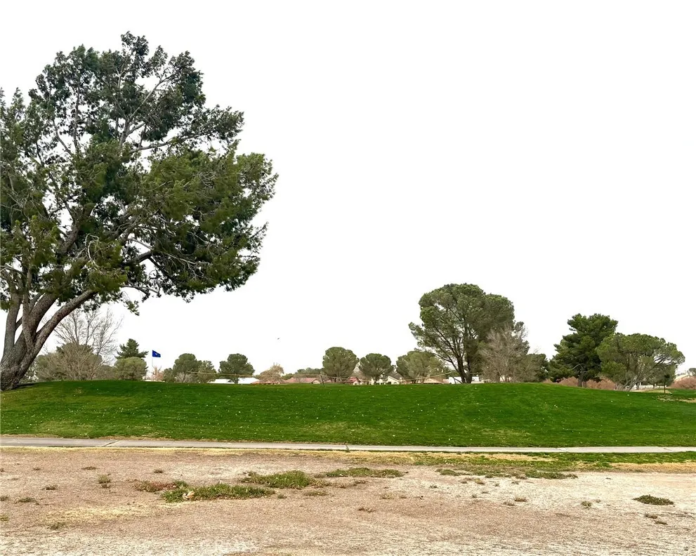 Additional image 56 of 27424 Cloverleaf Drive, Helendale, CA 92342