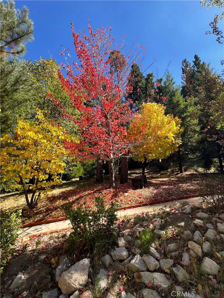 Additional image 84 of 29729 Katharine Way, Cedar Glen, CA 92321