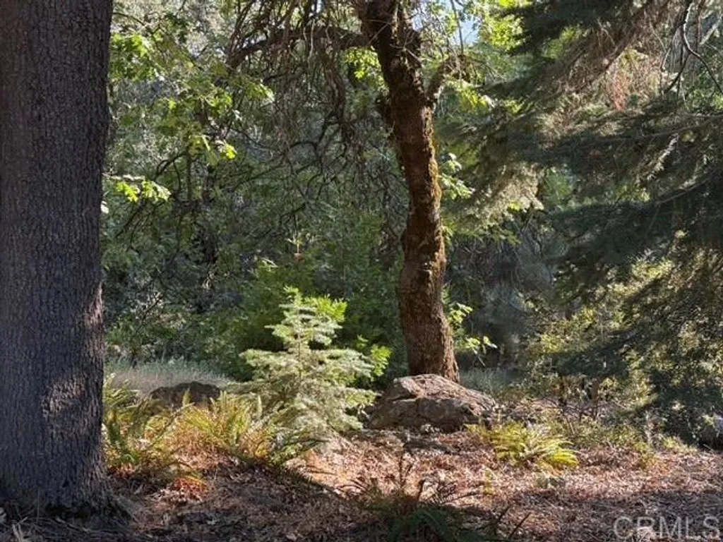 Additional image 66 of 3413 Fern Meadow Road, Palomar Mountain, CA 92060