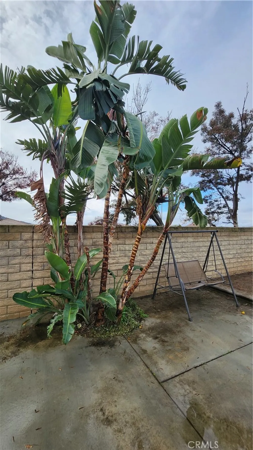 Additional image 10 of 25491 Avenida Ramada, Homeland, CA 92548