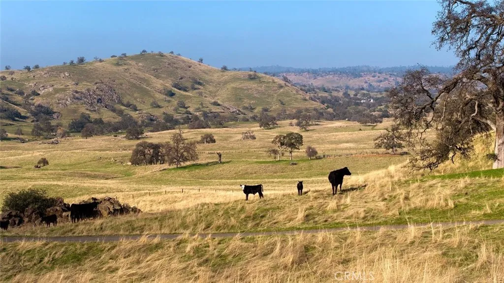 Additional image 80 of 19623 Road 211, Friant, CA 93626